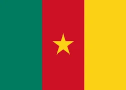 Cameroon flag