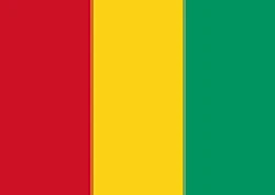 Guinea flag