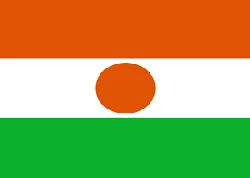 Niger flag