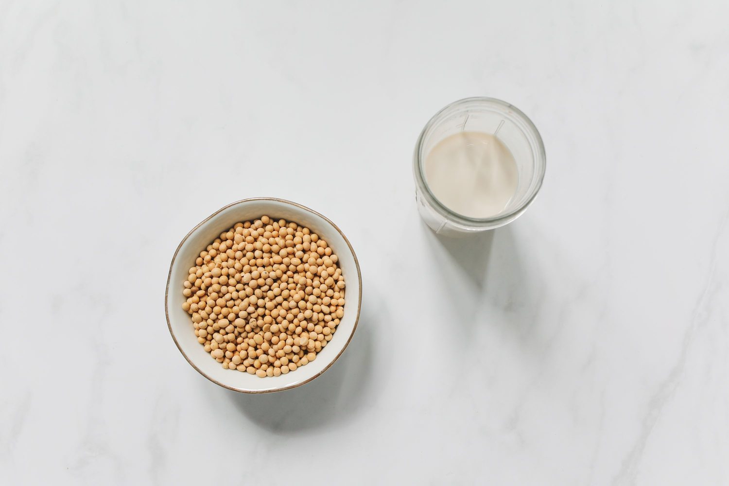 Soy & Plant-Based Ingredients