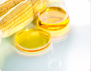 Photograph: High Fructose Corn