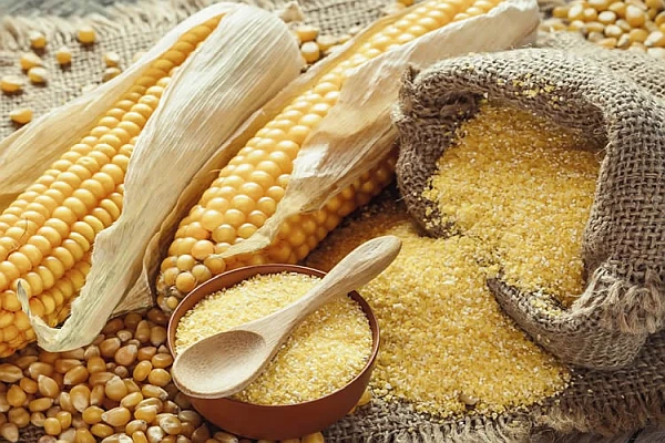 Web image: Corn Based Ingredients