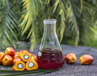 Photograph: Crude Palm Oil