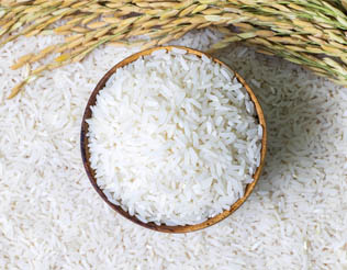 Photograph: Rice Glucose